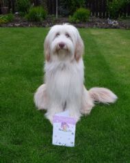 Millie with her birthday 1st card